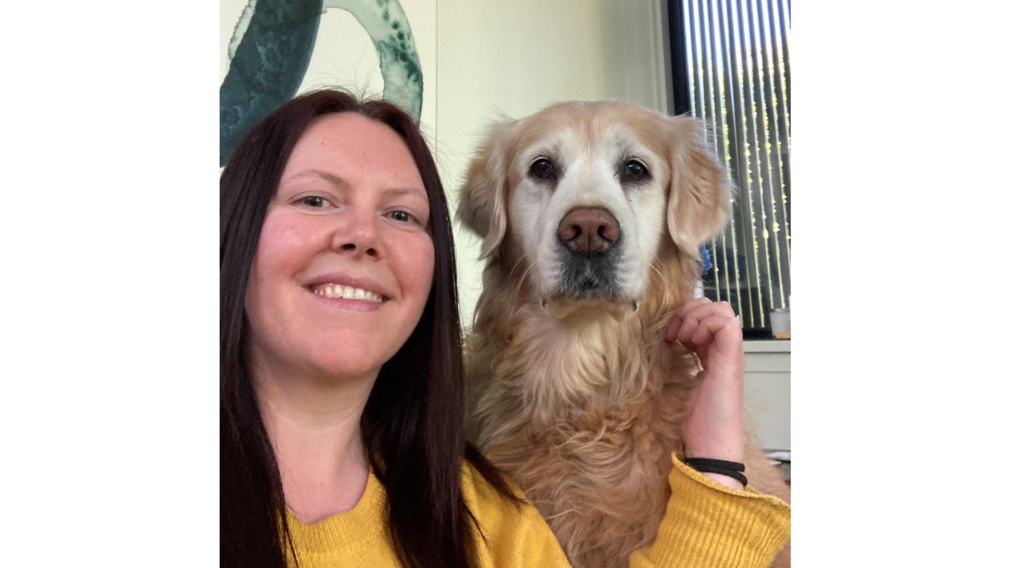 A person wearing a bright yellow sweater is seated next to a fluffy, light brown dog. The setting appears to be indoors, with a window and abstract wall art visible in the background. The overall mood is casual and cozy, with natural daylight streaming in. The dog is sitting upright, close to the person, creating a sense of companionship.
