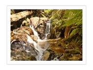 Olinda Falls product photo