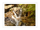 Olinda Falls product photo Internal 1 THUMBNAIL