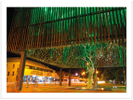 Tree of Knowledge, Queensland product photo