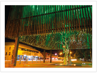 Tree of Knowledge, Queensland product photo Internal 1 DETAILS