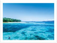 Great Barrier Reef product photo