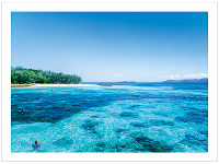 Great Barrier Reef product photo