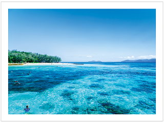 Great Barrier Reef product photo Internal 1 DETAILS