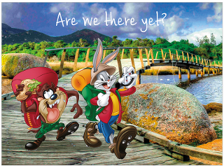 Bugs Bunny and Taz hiking, Wilsons Promontory, Victoria product photo Internal 1 DETAILS