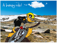 Daffy Duck mountain biking Kosciuszko National Park NSW product photo