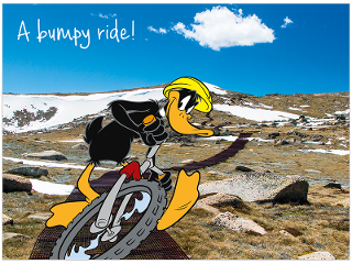 Daffy Duck mountain biking Kosciuszko National Park NSW product photo Internal 1 DETAILS