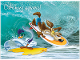 Road Runner and Wile. E. Coyote surfing in WA product photo Internal 1 THUMBNAIL