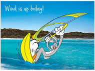 Bugs Bunny windsurfing, Noosa National Park Queensland product photo