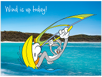 Bugs Bunny windsurfing, Noosa National Park Queensland product photo