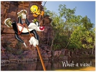 Sylvester and Tweety rock climbing Umbrawarra Gorge, NT product photo