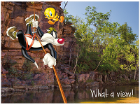 Sylvester and Tweety rock climbing Umbrawarra Gorge, NT product photo