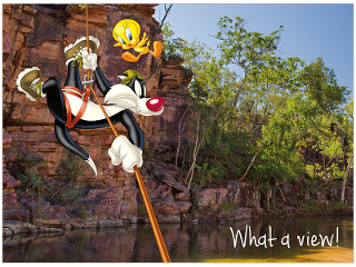 Sylvester and Tweety rock climbing Umbrawarra Gorge, NT product photo Internal 1 DETAILS