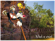 Sylvester and Tweety rock climbing Umbrawarra Gorge, NT product photo Internal 1 THUMBNAIL