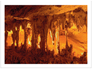 Capricorn Caves prepaid postcard product photo