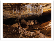 Naracoorte Cave prepaid postcard product photo