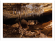 Naracoorte Cave prepaid postcard product photo Internal 1 THUMBNAIL