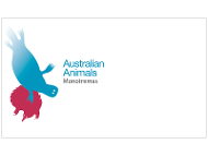 Blank Australian Animals Monotremes cover product photo