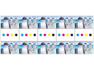 Gutter strip 10 x $2.30 Little Penguin international stamps product photo
