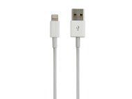 iBright Lightning Cable White product photo