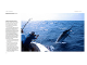 The Great Barrier Reef Guide product photo Internal 2 THUMBNAIL