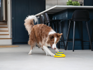 Woof Glider product photo