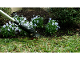 Bionic Trimmer product photo Internal 3 THUMBNAIL