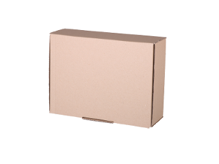 Plain Mailing Box (BXP2) - 310 x 225 x 102mm product photo Internal 1 DETAILS