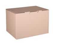 Plain Mailing Box (BXP5) - 405 x 300 x 255mm product photo