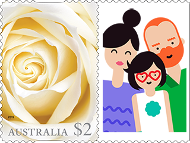 White rose product photo
