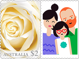 White rose product photo